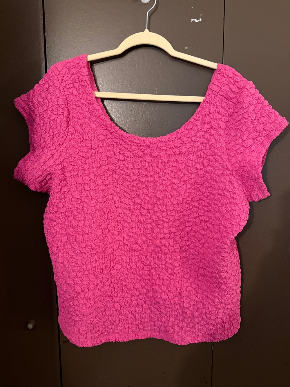 Anthropologie Hot Pink Textured Short Sleeve Top